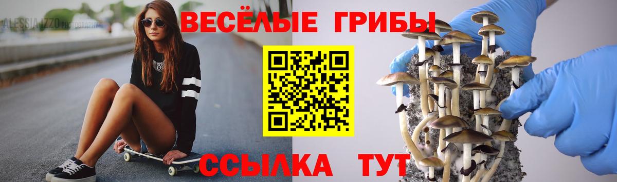 Галлюциногенные грибы MAGIC MUSHROOMS  купить  цена  Вход с VPN  Алушта  Галлюциногенные грибы ЛСД 