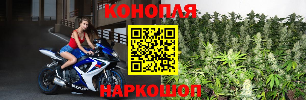 МАРИХУАНА Bruce Banner  Канабис Bruce Banner  Вход с VPN  Алушта  Канабис тримм 